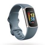 Fitbit Charge 5 Steel Blue/Platinum Stainless Steel Online Only