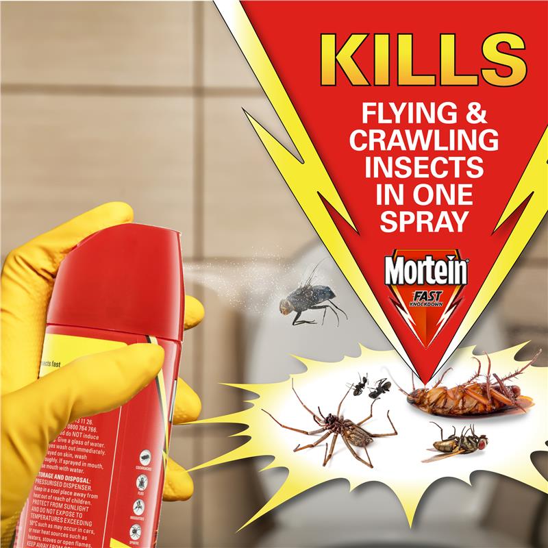 Buy Mortein Fast Knockdown Insect Control Spray 300g Online At Chemist Warehouse®