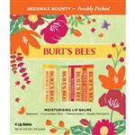 Burt's Bees Bounty Beeswax Freshly Picked 4 Pack