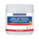 Ethical Nutrients Mega Magnesium Glycinate+ Creatine & Electrolytes 250g