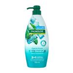 Palmolive Naturals Cool & Fresh Anti-Dandruff 2-in-1 Shampoo and Conditioner 700ml